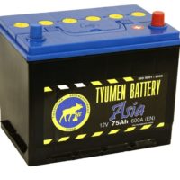 1600 e1556783310454 200x200 - Аккумулятор автомобильный Tyumen Battery Asia 75 а/ч